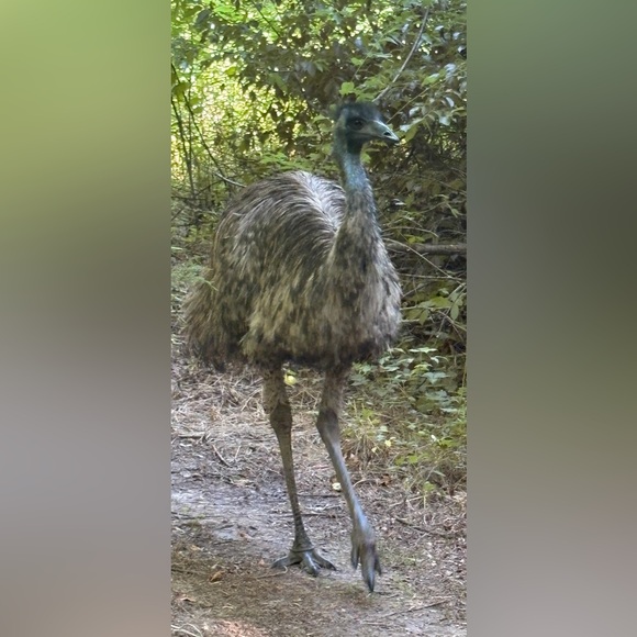 NEW Share Game (9) 2024 Please like new listing! - Picture 6 of 9